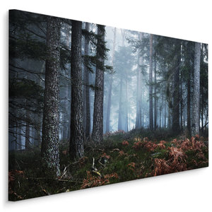 Schilderij - Bos in de mist, premium print, natuur aan de muur