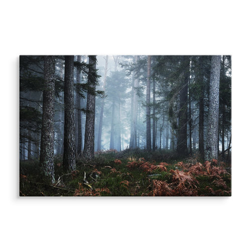 Schilderij - Bos in de mist, premium print, natuur aan de muur