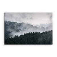 Schilderij - Bos in de wolken, premium print, wanddecoratie