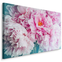 Schilderij - Pioen rozen , print op  canvas, premium print , Wanddecoratie