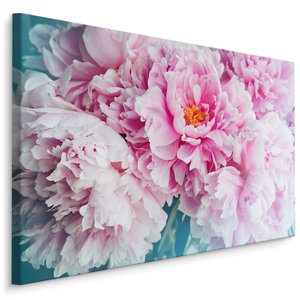 Schilderij - Pioen rozen , print op  canvas, premium print , Wanddecoratie