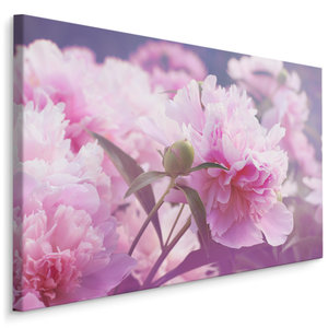 Schilderij - Roze Pioenrozen , print op  canvas, premium print , Wanddecoratie