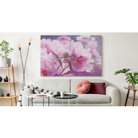 Schilderij - Roze Pioenrozen , print op  canvas, premium print , Wanddecoratie