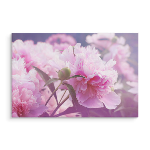 Schilderij - Roze Pioenrozen , print op  canvas, premium print , Wanddecoratie