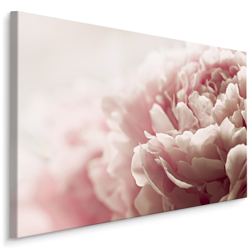 Schilderij - Pastelkleurige Pioenrozen , print op canvas, premium print , Wanddecoratie
