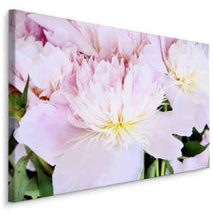 Schilderij - Roos in het roze, eyecatcher voor aan de wand, premium print