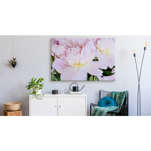 Schilderij - Roos in het roze, eyecatcher voor aan de wand, premium print