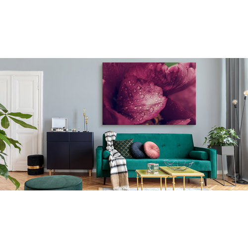 Schilderij - Pioenrozen met dauw, premium print, wanddecoratie