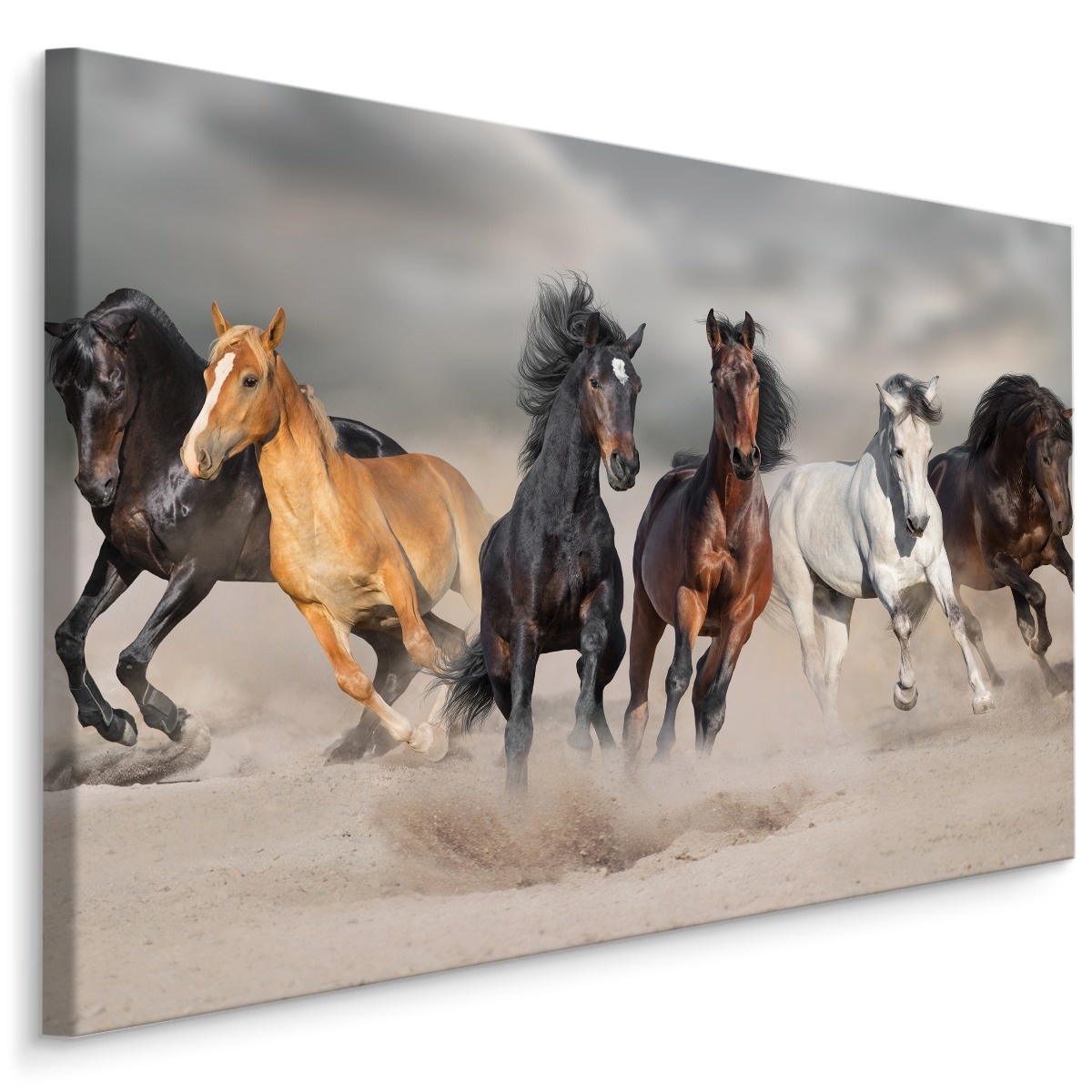 Schilderij - Kudde wilde paarden, premium print, wanddecoratie -  1 luik - 120x80 cm