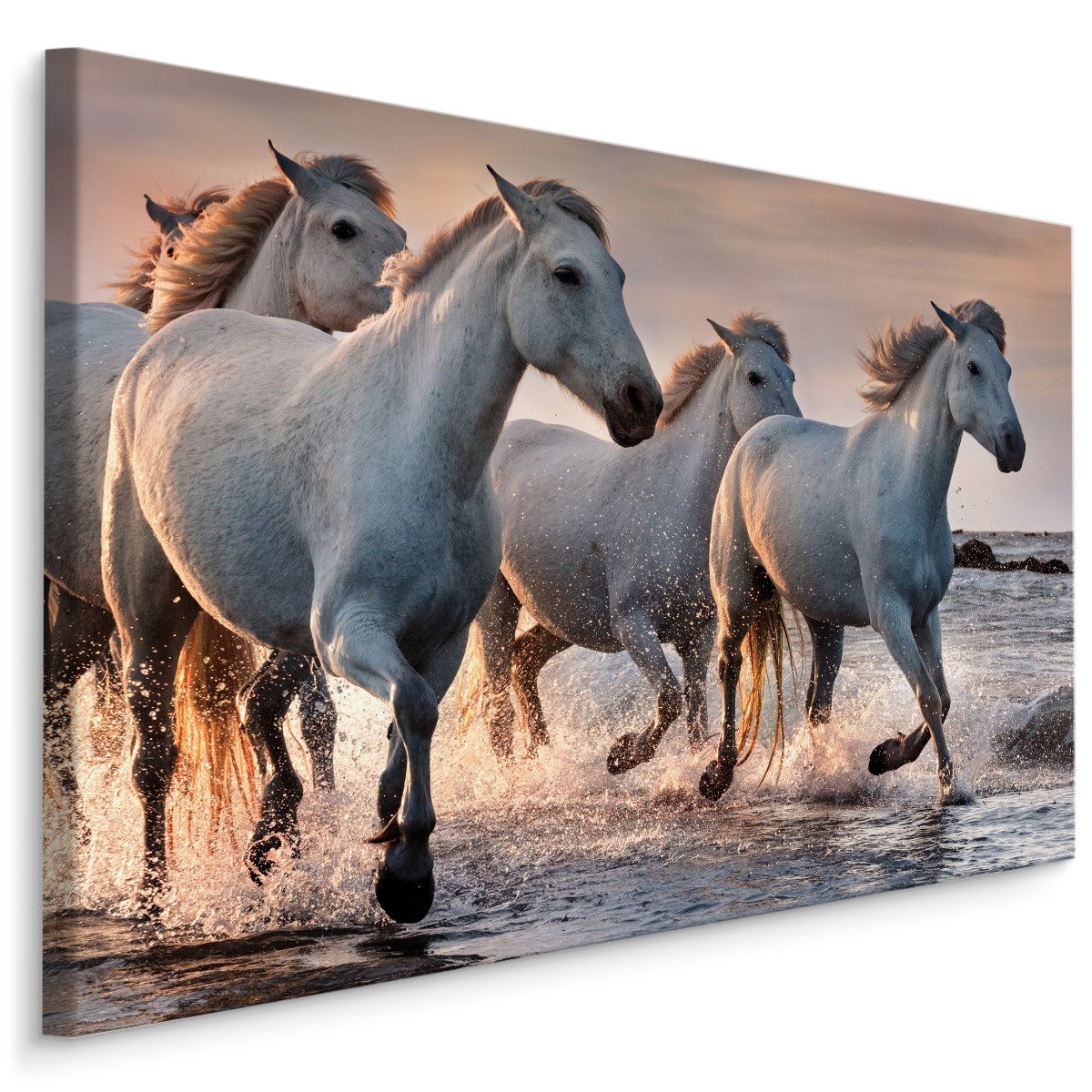 Schilderij - Kudde schimmels in de zee, prachtige wanddecoratie in premium print kwaliteit afbeelding