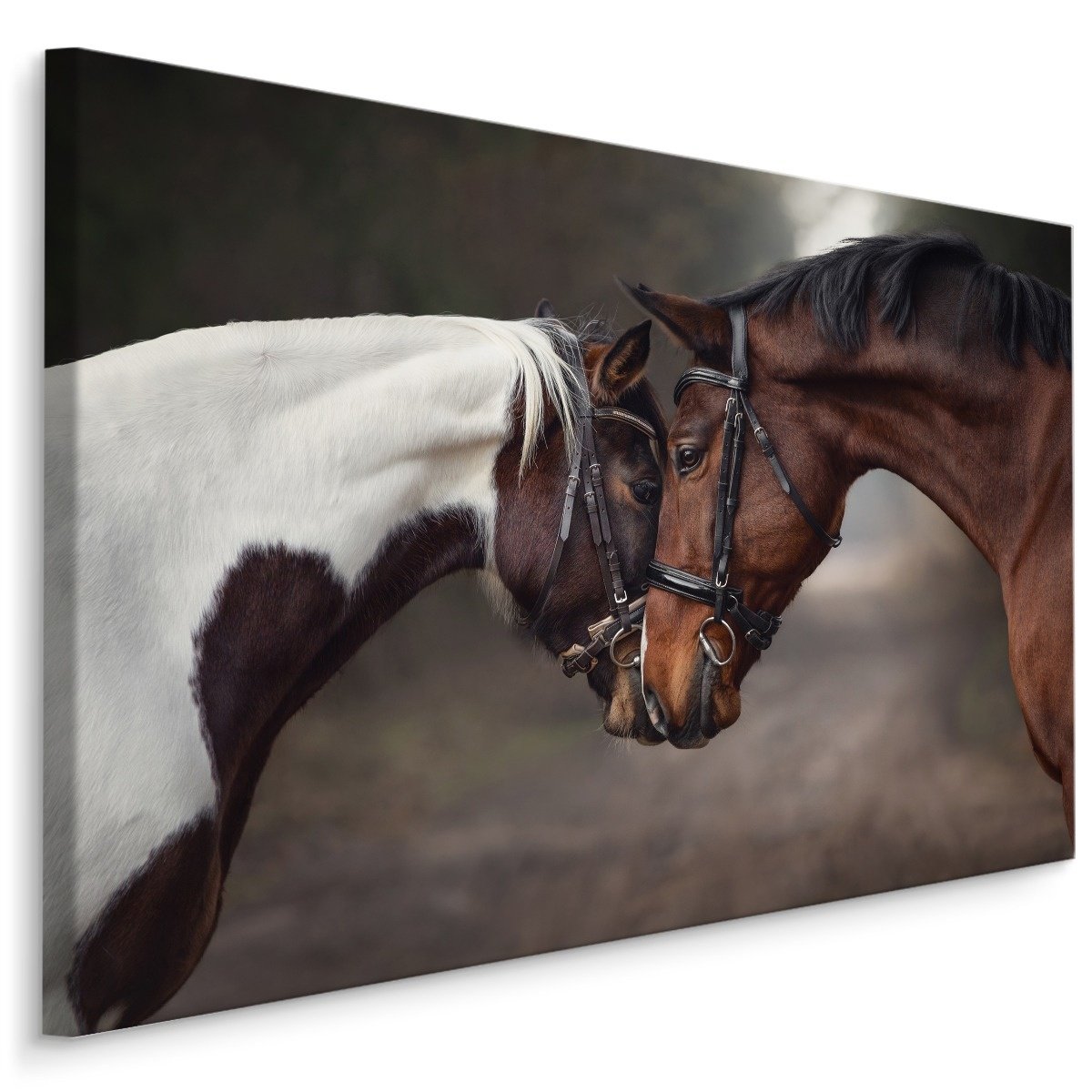 Schilderij - Prachtige liefde tussen 2 paarden, premium print afbeelding