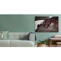 Schilderij - Prachtige liefde tussen 2 paarden, premium print