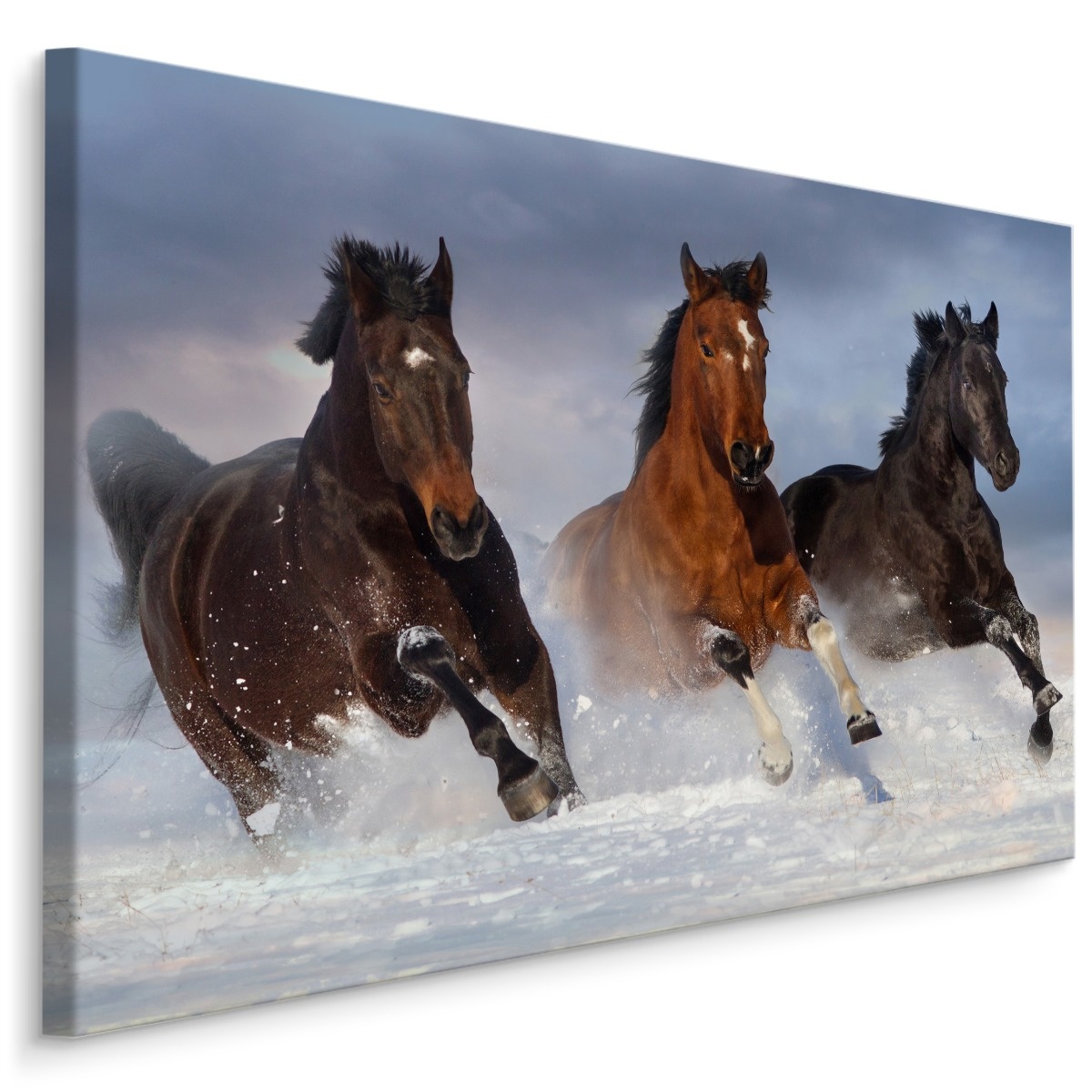 Schilderij - Galopperende paarden in de sneeuw, premium print, wanddecoratie