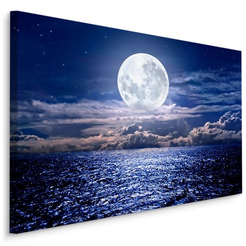 Schilderij - Volle maan boven de zee, blauw/wit, scherpe print