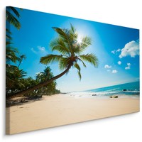 Schilderij - Strand met palmbomen, multi-gekleurd, scherpe print