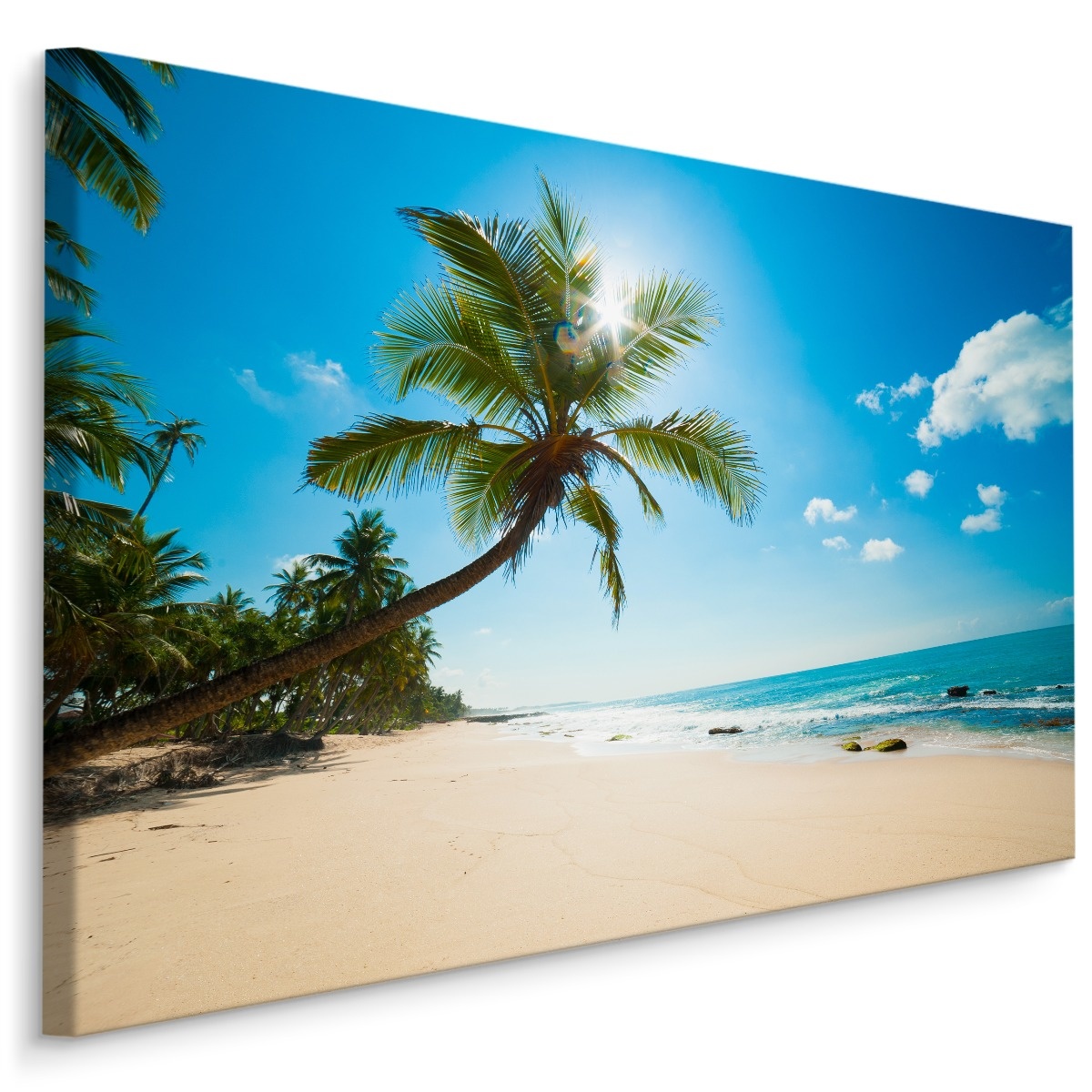Schilderij - Strand met palmbomen, multi-gekleurd, scherpe print afbeelding