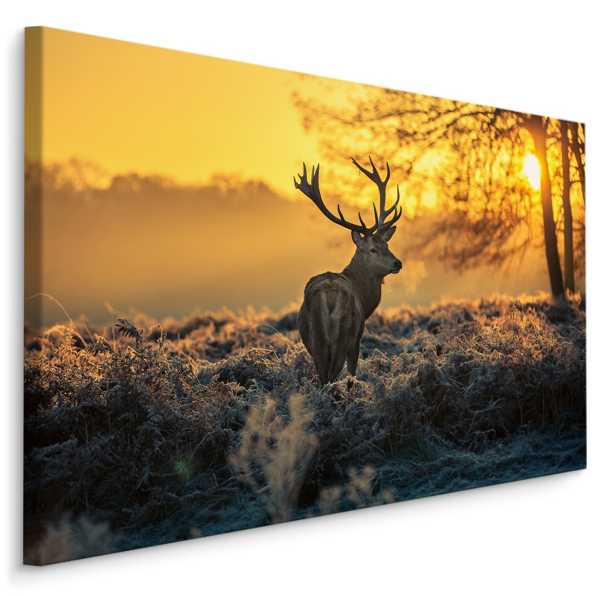 Schilderij - Hert in de ochtend, geel/bruin, wanddecoratie afbeelding