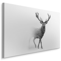 Schilderij - Hert in zwart-wit, Premium print, scherp geprijsd