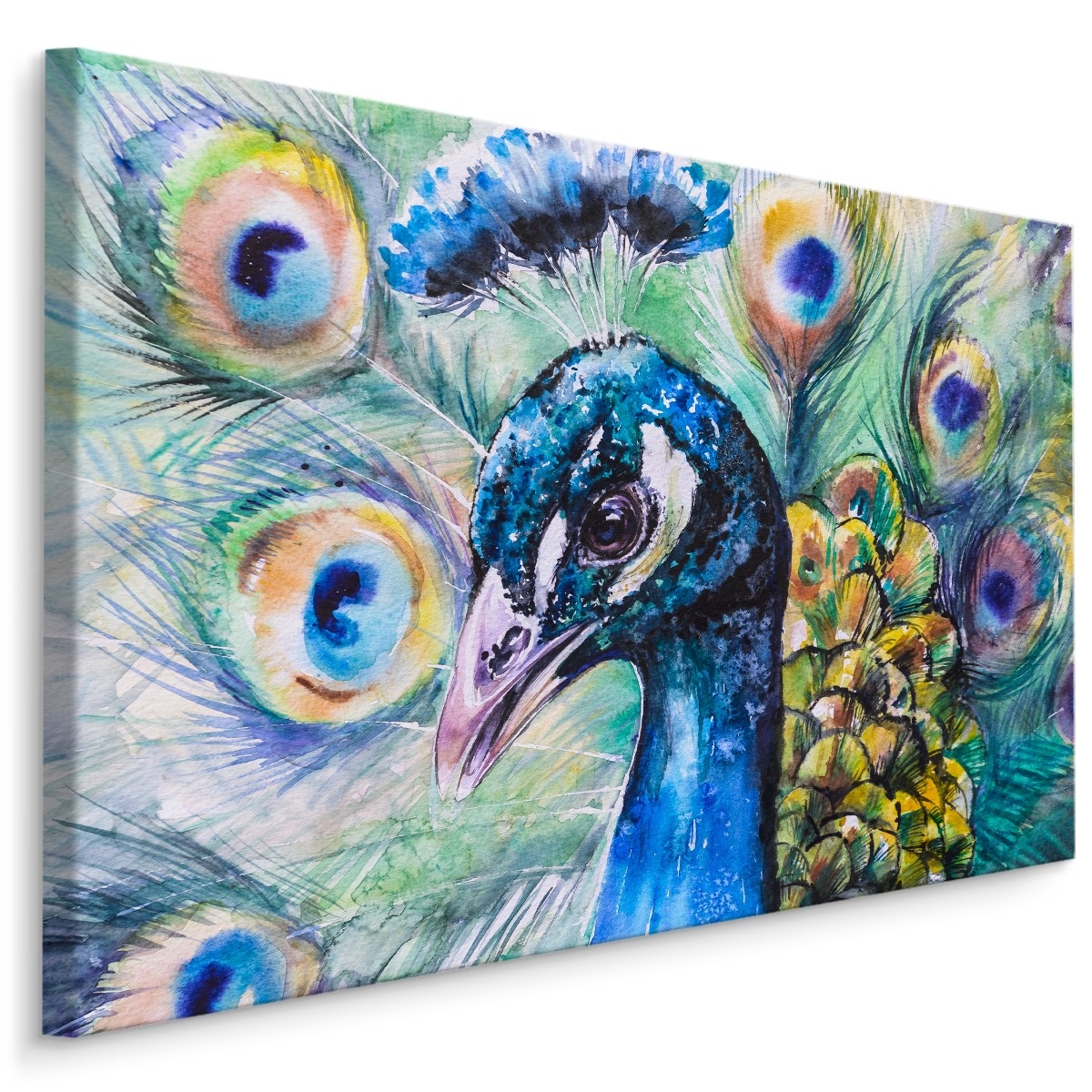 Schilderij Pauw (print op canvas), 4 maten, multi-gekleurd, scherp geprijsd afbeelding