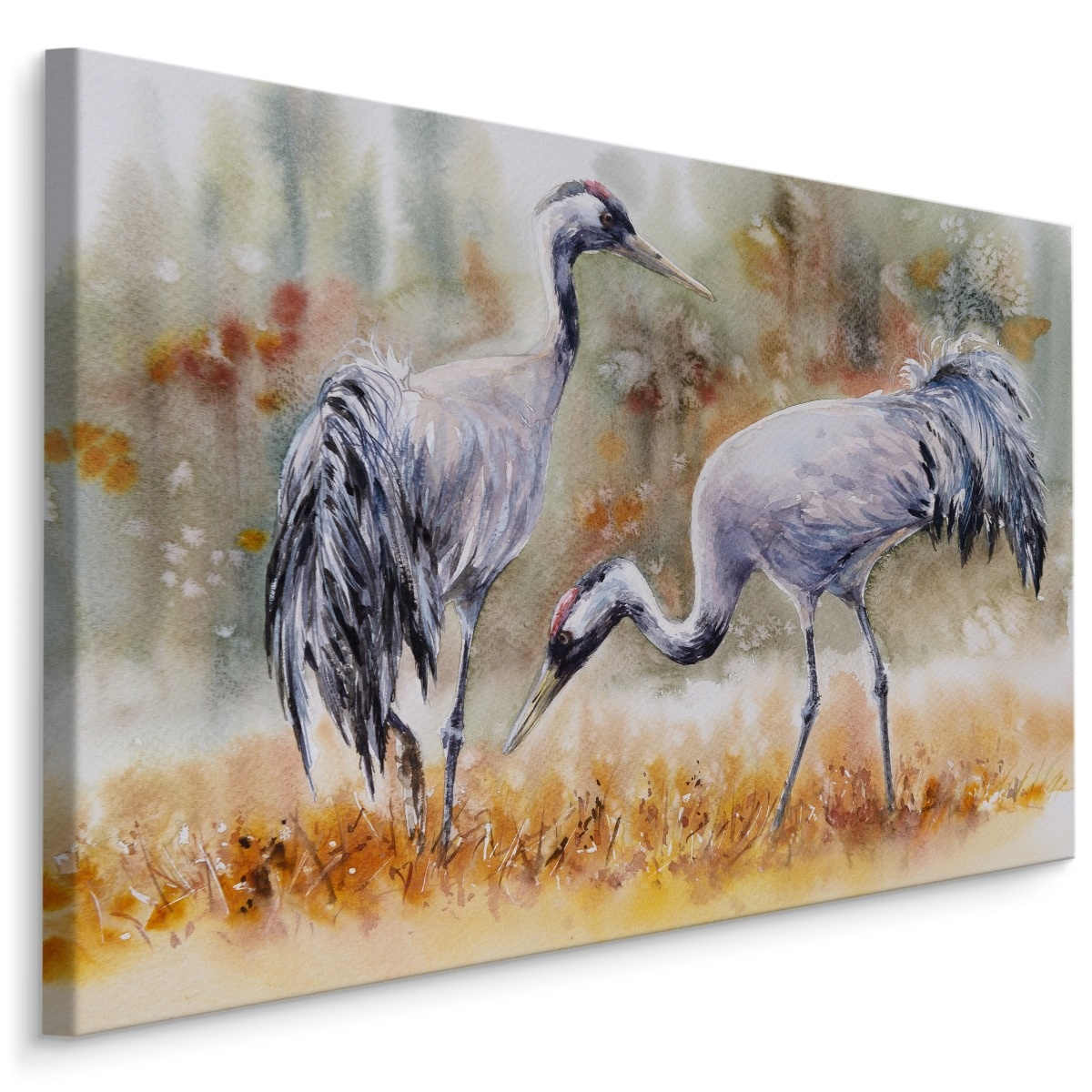 Schilderij - Kraanvogels op een veld (print op canvas), 4 maten, multi-gekleurd, premium print afbeelding