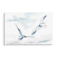 Schilderij- Zeemeeuwen in olieverf (print op canvas), 4 maten, wit/blauw, Premium print