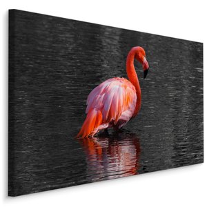 Schilderij - Flamingo in het water, 4 maten, roze/grijs, Premium print