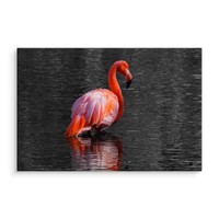 Schilderij - Flamingo in het water, 4 maten, roze/grijs, Premium print