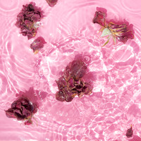 Karo-art Schilderij - Rozenblaadjes in het water, roze, Premium print