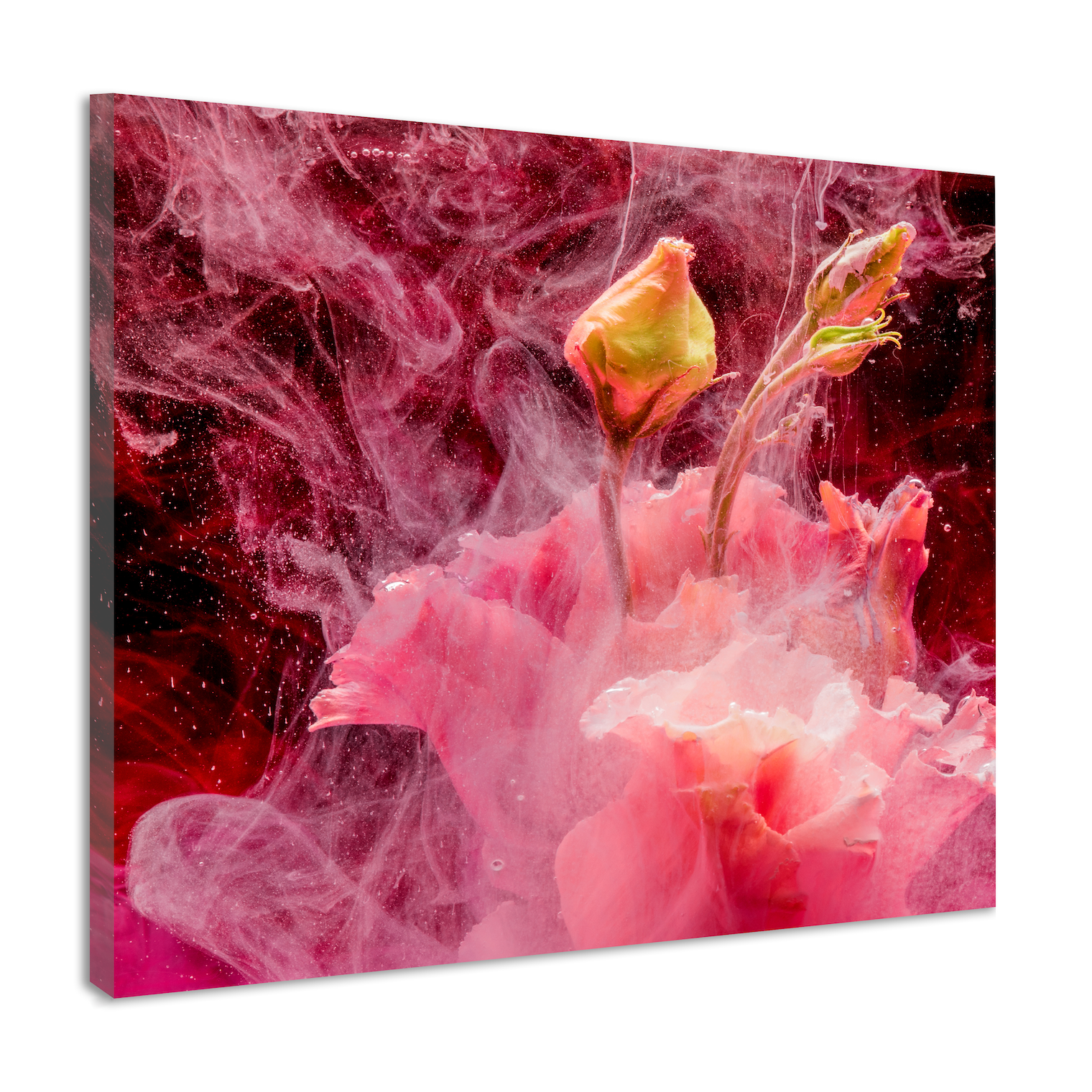 Schilderij - Abstracte bloemknop, roze, geel , 3 maten , premium Print afbeelding