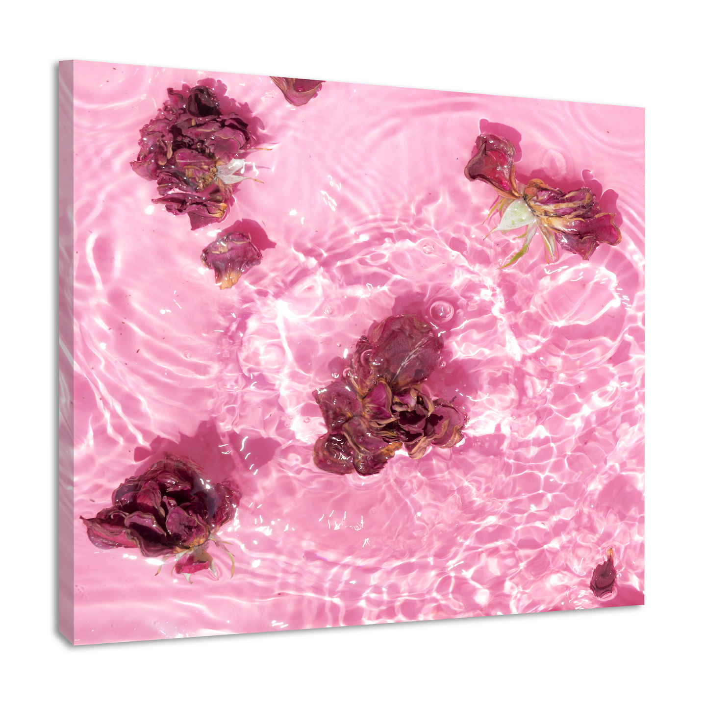 Schilderij - Rozenblaadjes in het water, roze, Premium print afbeelding