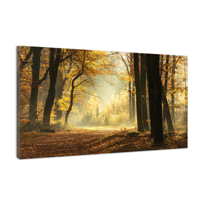 Karo-art Schilderij - Pad door een mistige bos tijdens een prachtige mistige herfst dag, 120x80cm  Premium print