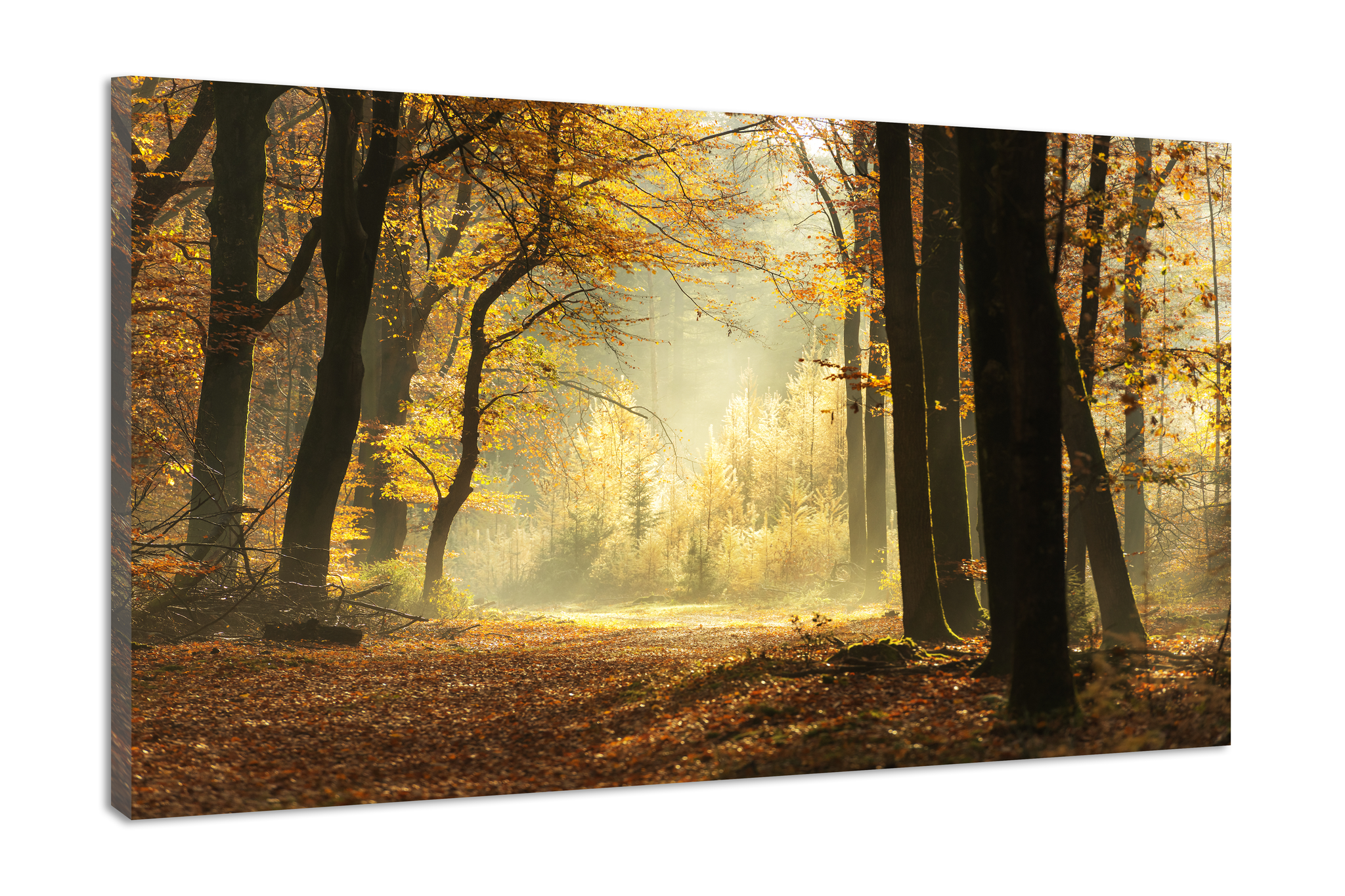 Schilderij - Pad door een mistige bos tijdens een prachtige mistige herfst dag, 120x80cm Premium print afbeelding