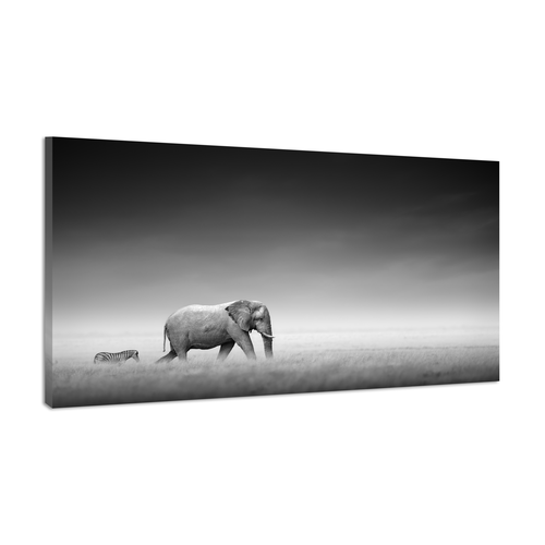 Karo-art Schilderij -Olifant en Zebra op pad, zwart en wit, 100x70cm