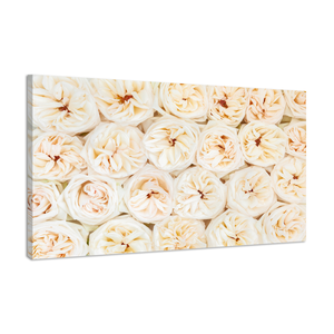 Karo-art Schilderij -Mooie verse rose en witte rozen, 100x70cm. Premium print