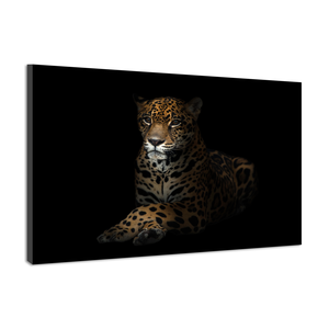 Karo-art Schilderij -Luipaard in het donker 2 , 100x70cm, premium print