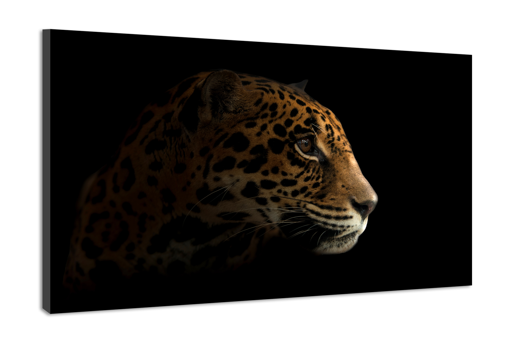 Schilderij -Luipaard in het donker III, 100x70cm, premium print afbeelding