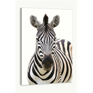 Karo-art Schilderij - Vooraanzicht Zebra, Grijs wit , 3 maten , Premium print