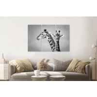 Karo-art Schilderij -  Giraffen zwart/wit, 120x80cm, 3 luik, premium print