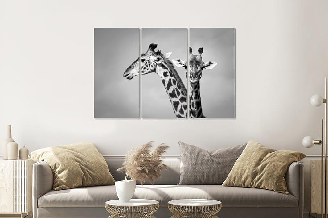 Schilderij - Giraffen zwart/wit, 120x80cm, 3 luik, premium print afbeelding