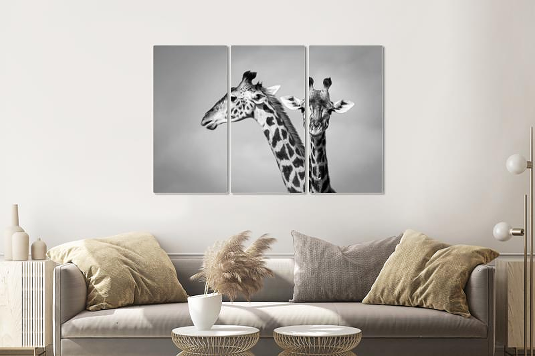 Schilderij - Giraffen zwart/wit, 120x80cm, 3 luik, premium print