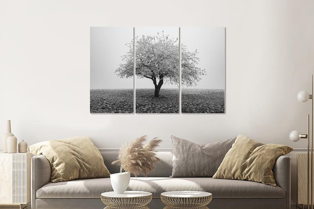 Schilderij - Eenzame boom in zwart/wit, 120x80cm, 3 luik, premium print afbeelding