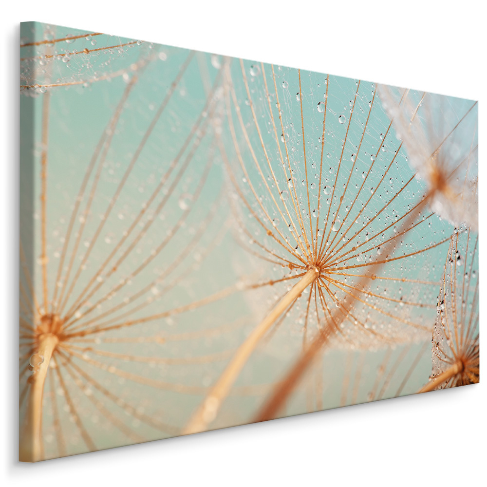 Schilderij - Waterdruppels op paardenbloem, multi-gekleurd, 4 maten, wanddecoratie afbeelding