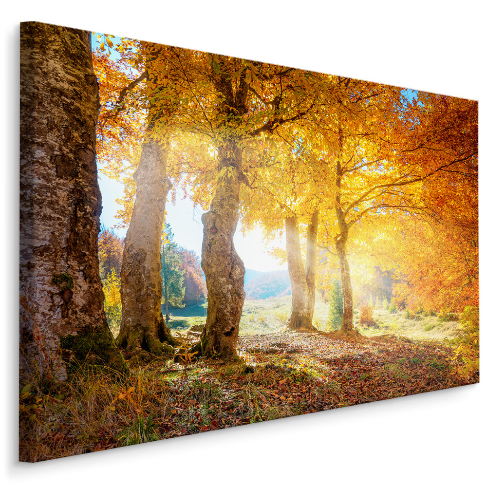 Schilderij - Herfstbos, bruin/geel, 4 maten, premium print afbeelding