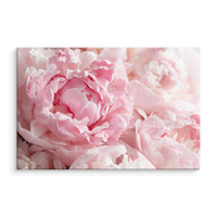 Schilderij - Roze pioenrozen, 4 maten, premium print