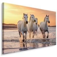 Schilderij - Galopperende paarden op het strand, multi-gekleurd, 4 maten, wanddecoratie
