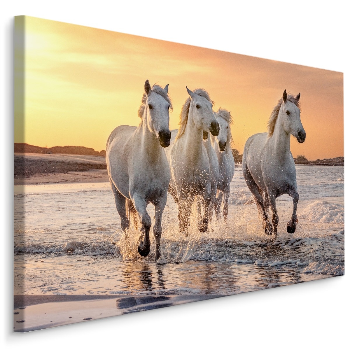 Schilderij - Galopperende paarden op het strand, multi-gekleurd, 4 maten, wanddecoratie afbeelding