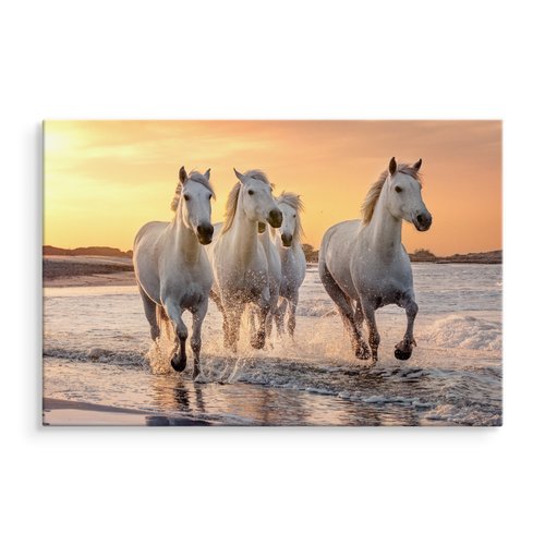 Schilderij - Galopperende paarden op het strand, multi-gekleurd, 4 maten, wanddecoratie