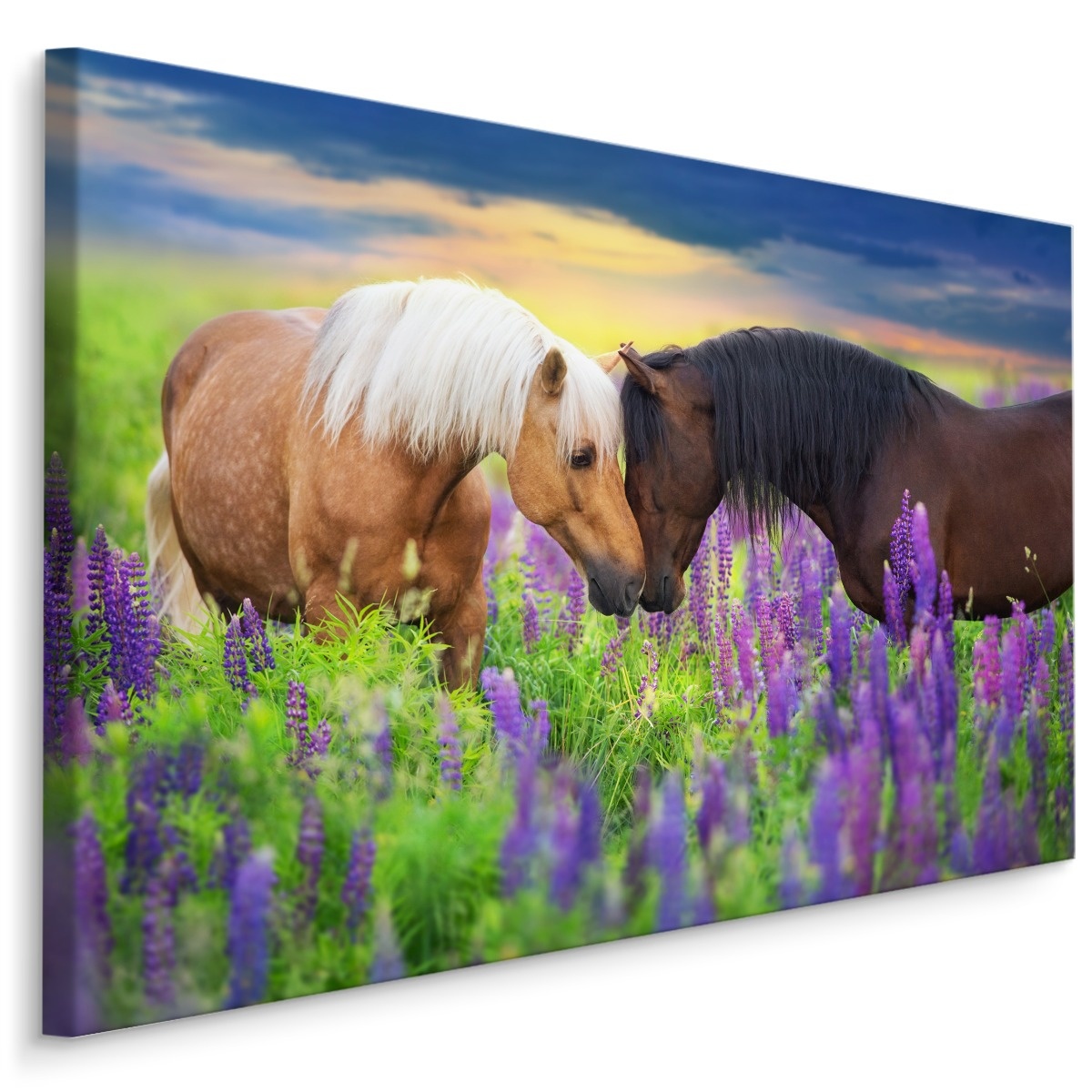 Schilderij - Paarden in de wei, multi-gekleurd, 4 maten, Premium print