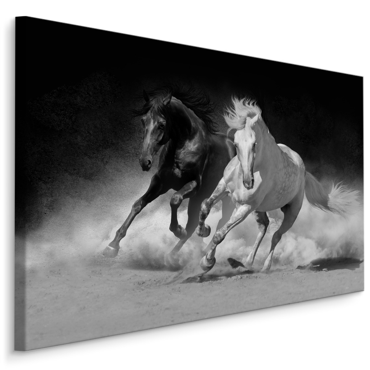 Schilderij - Galopperende paarden in zwart-wit, 4 maten, wanddecoratie afbeelding