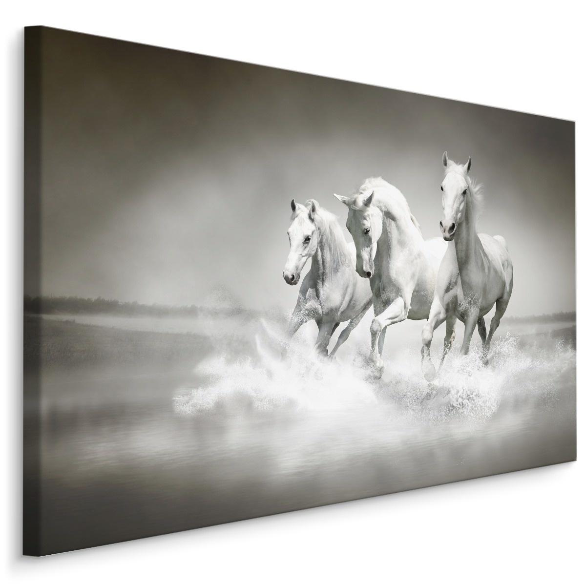 Schilderij - Wilde paarden in zwart-wit, 4 maten, premium print afbeelding